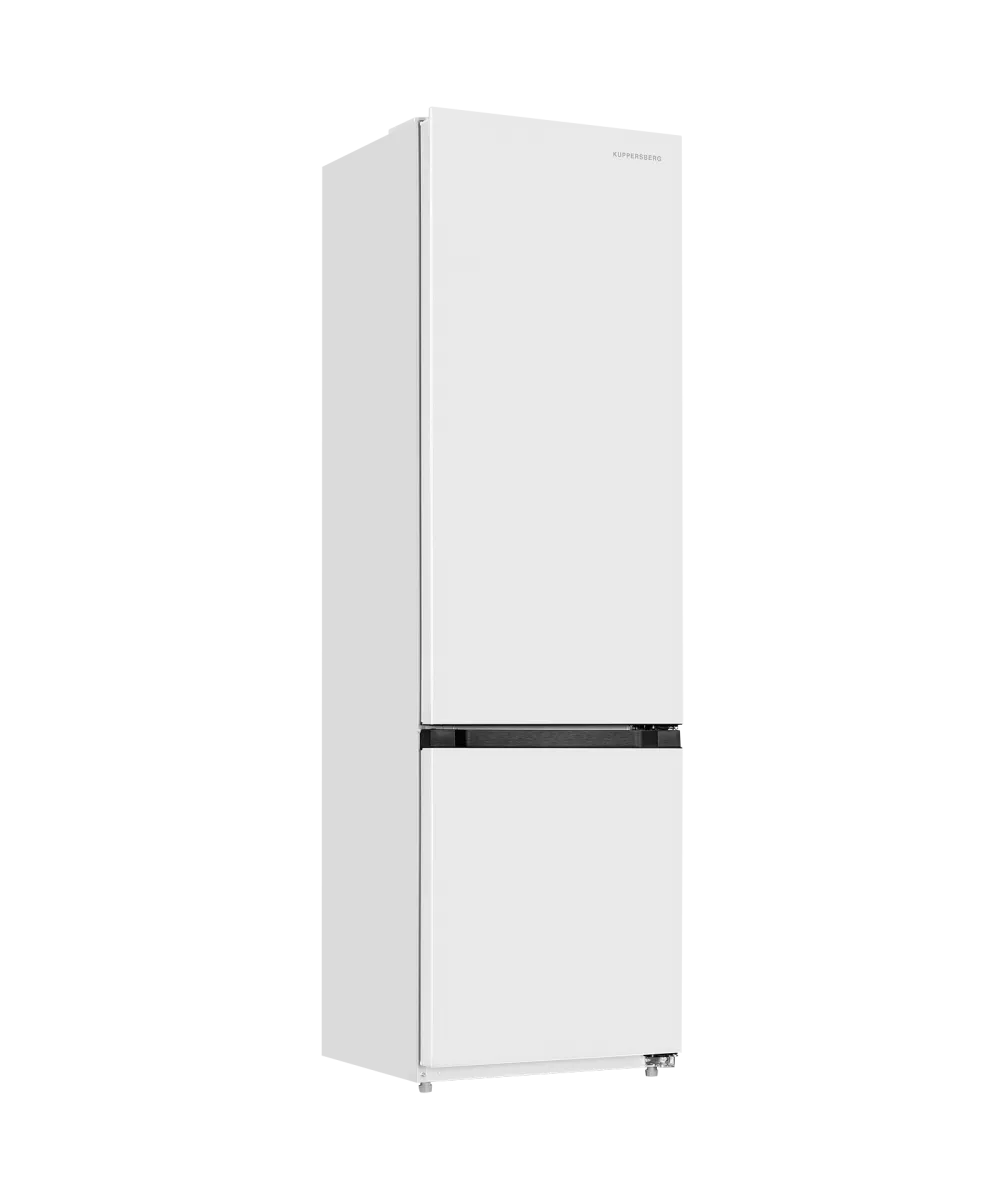 Freestanding refrigerator RFCN 2016 W