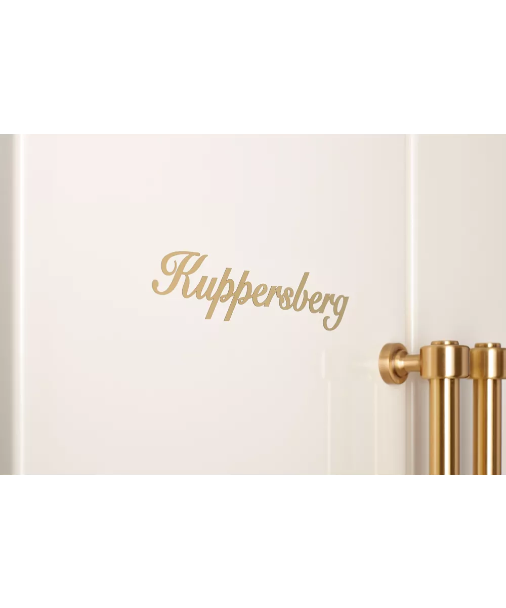 Freestanding refrigerator NSFD 17793 C