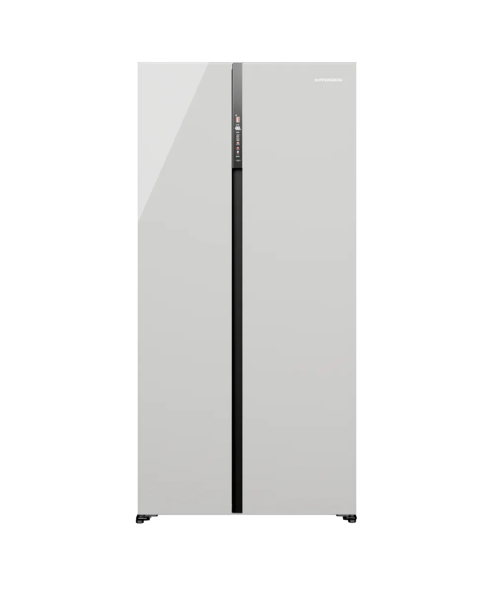 Freestanding refrigerator RFSN 1990 WG