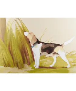 Freestanding refrigerator NFM 200 CG серия Охота