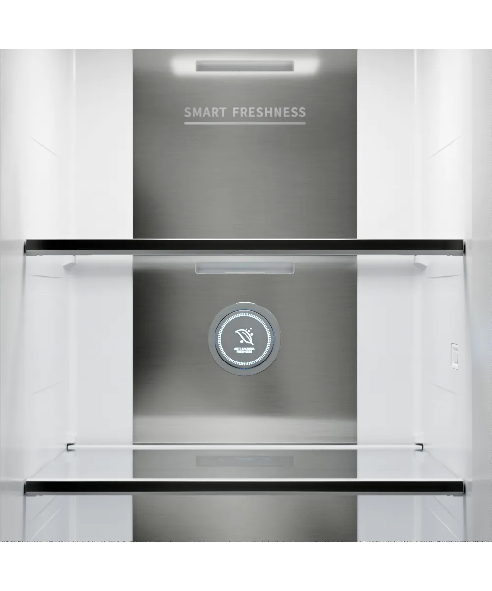 Freestanding refrigerator RFSN 1990 BG