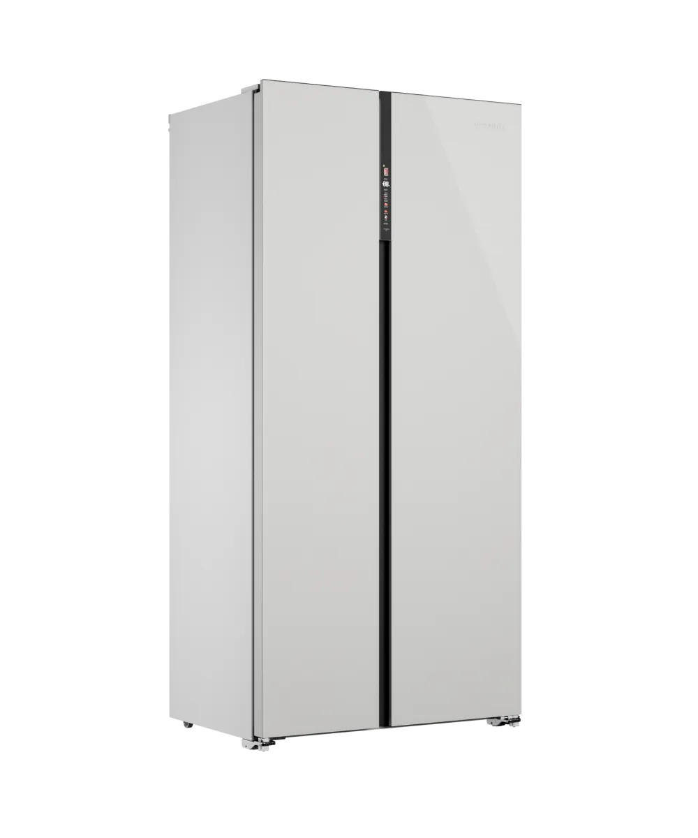 Freestanding refrigerator RFSN 1990 WG