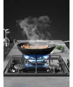 Gas hob FS 40 B