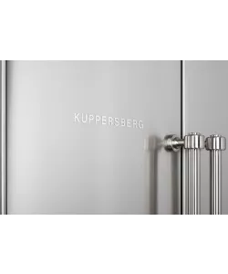 Freestanding refrigerator NSFD 17793 X