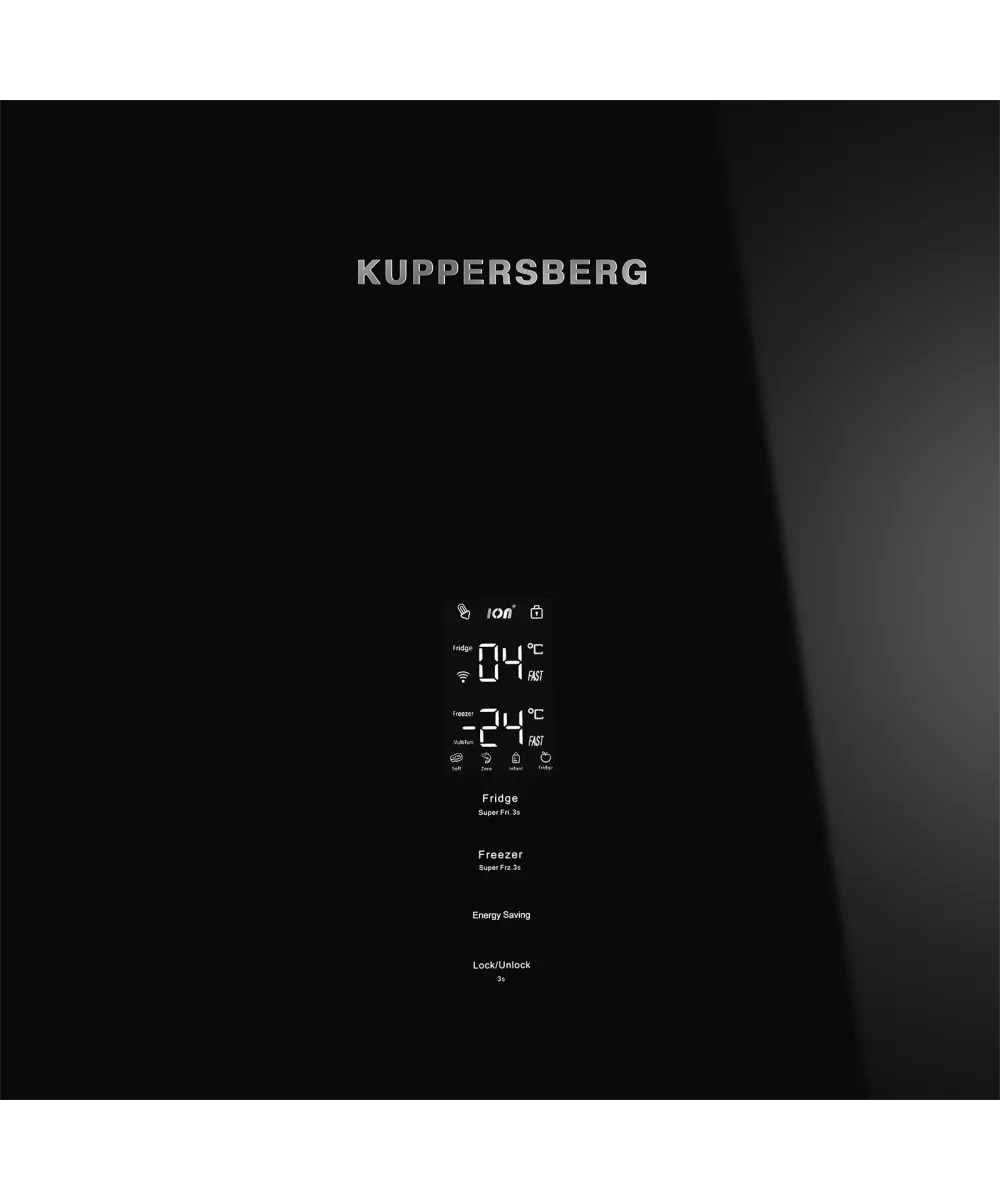 Freestanding refrigerator RFCN 2013 BG