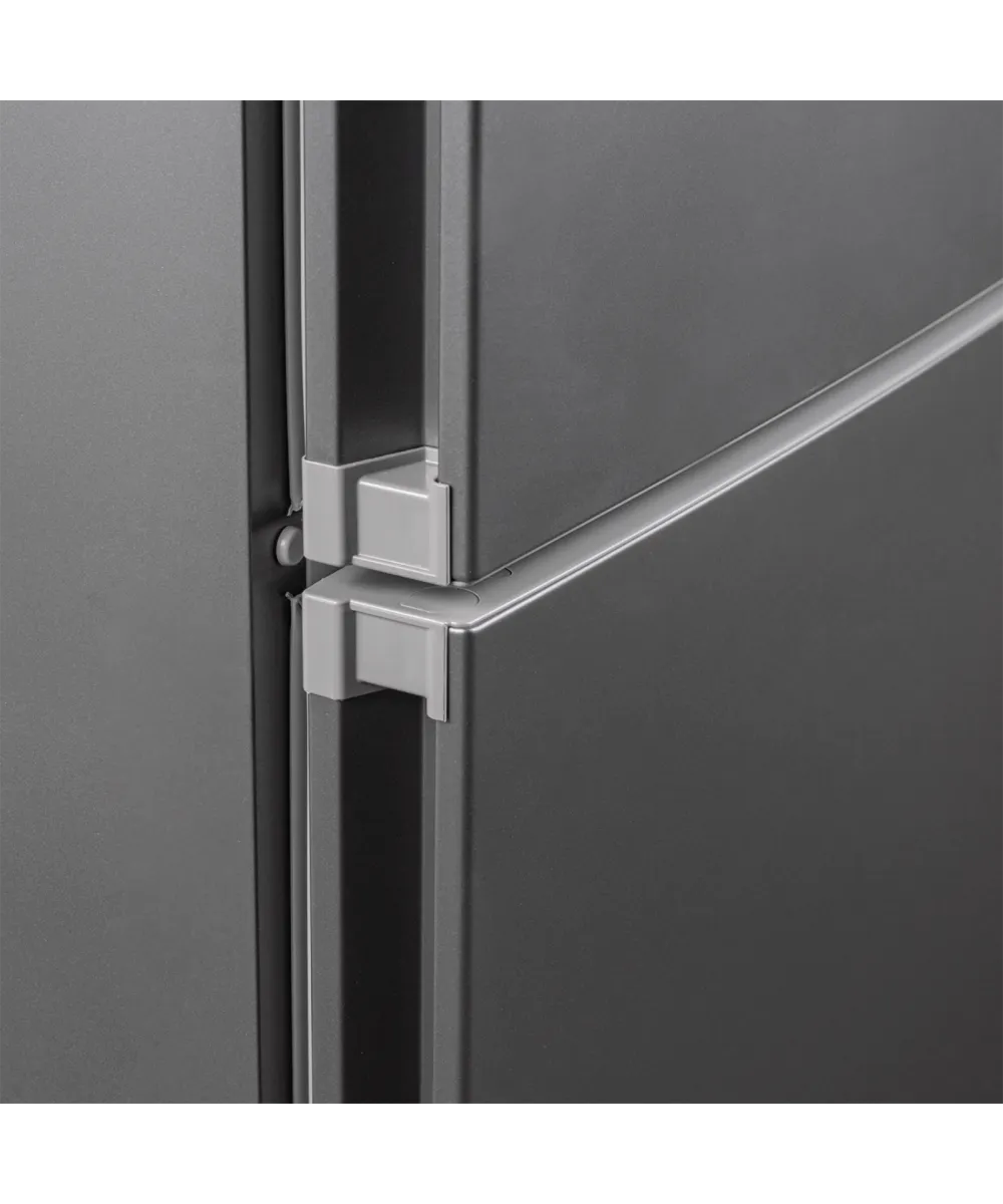 Freestanding refrigerator RFCN 2010 DX