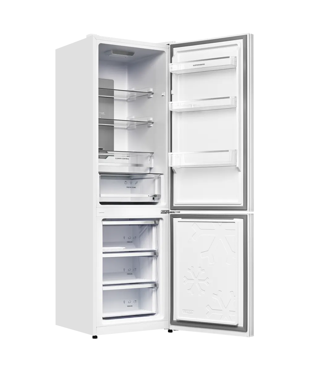 Freestanding refrigerator RFCN 2013 WG